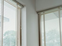 Umweltfreundliche Fensterrollläden kaufen: Worauf es bei Material und Nachhaltigkeit ankommt